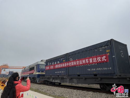 騰俊國(guó)際陸港中老國(guó)際貨運(yùn)列車首次抵達(dá)昆明晉寧