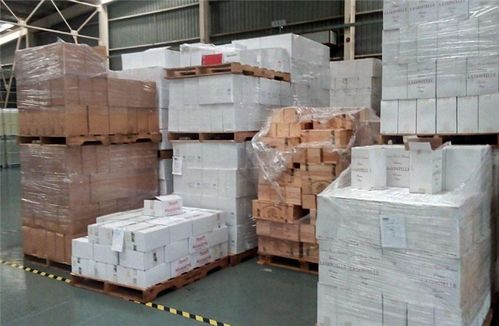 為什么眾多中小企業都青睞佳豪鑫物流？揭秘高效貨運合作的五大關鍵